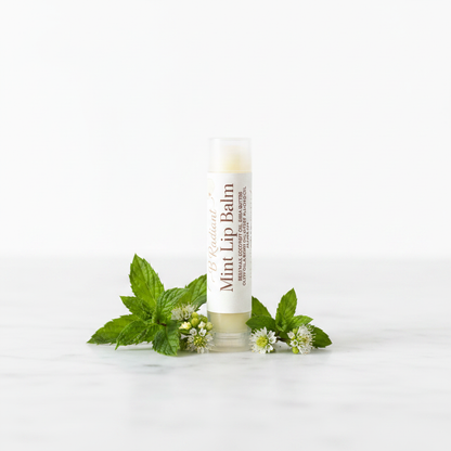 Lip Balm